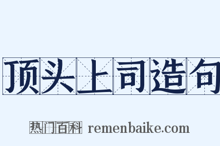 顶头上司造句是什么意思的图片